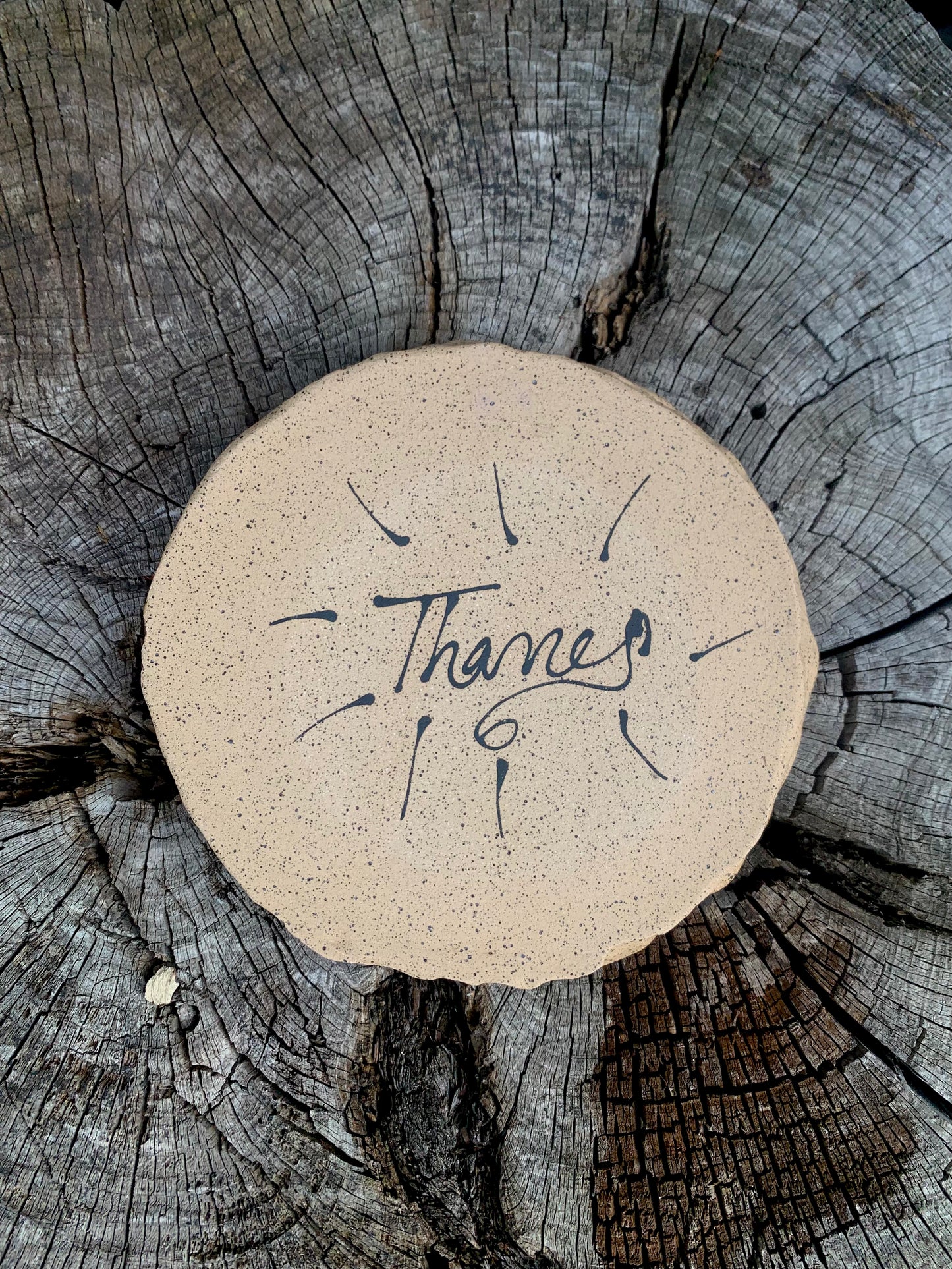 Bella’s Truck - Pinch Plate