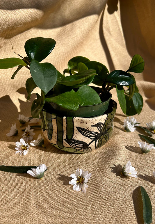 Small Planter in Fern